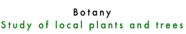 Botany Study of local plants and